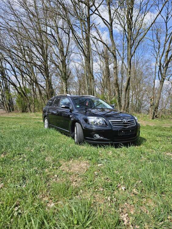Avensis