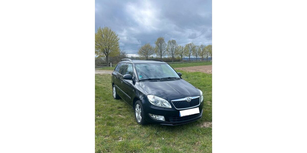Skoda Fabia 94.745 km 5.000 &euro; Frankfurt am Main 65929