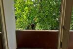 Frisch renovierte 1-Zimmer-Wohnung mit Balkon und Stellplatz - bezugsfertig