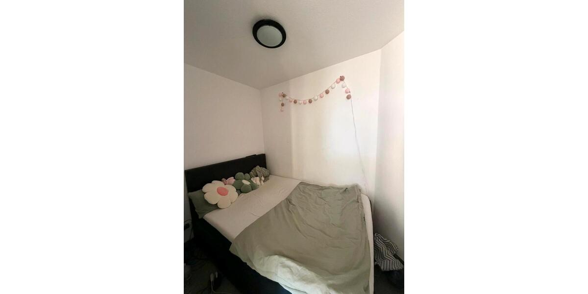 Wohnung zu vermieten 1.5 zimmer