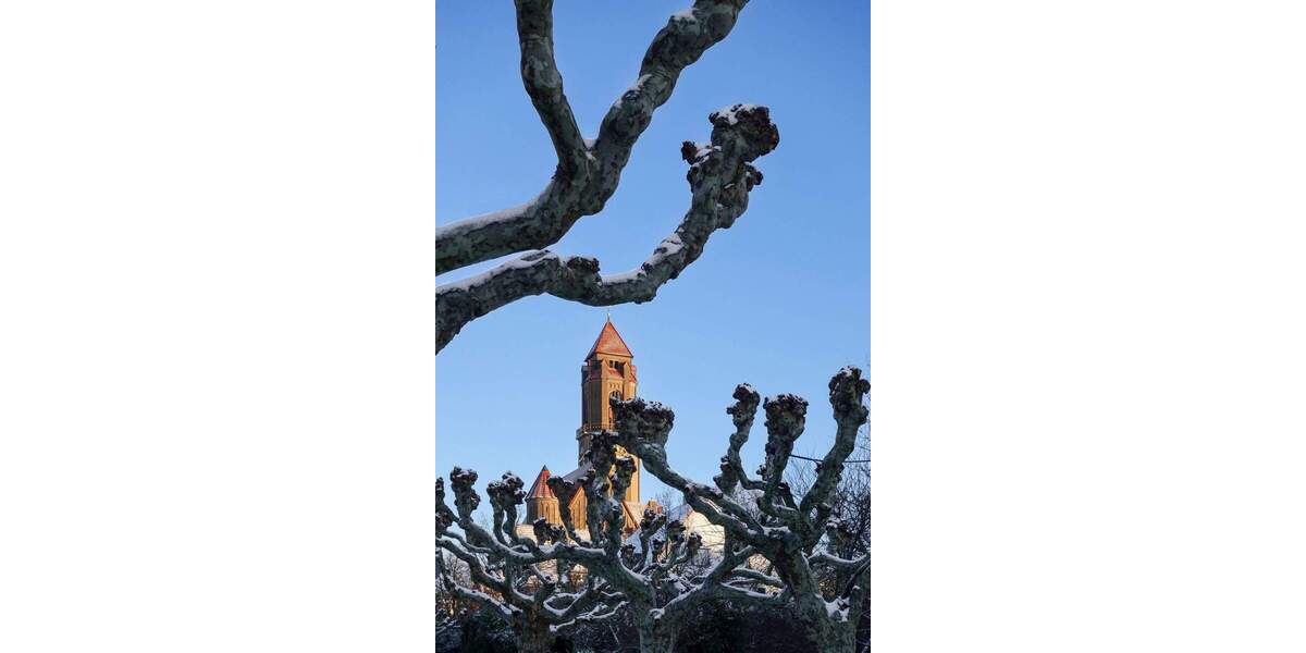 Mehrfamilienhaus, Wohnhaus Darmstadt Eberstadt - 7 Zimmer, 160 m&sup2;, 1.495.000&euro; | Angebot:25676228