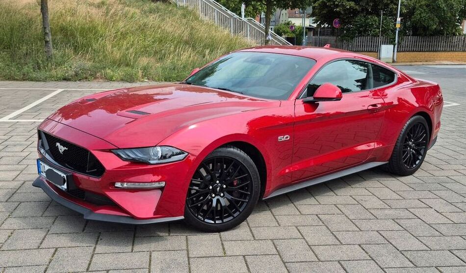 Mustang
