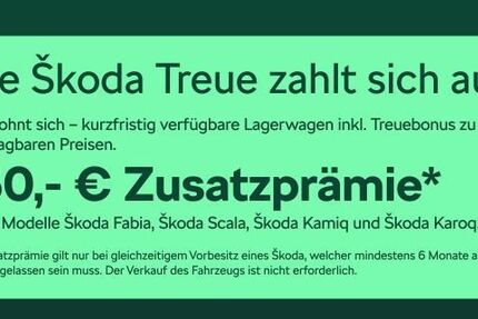 Skoda Fabia 4.500 km 19.480 € Frankfurt 60435