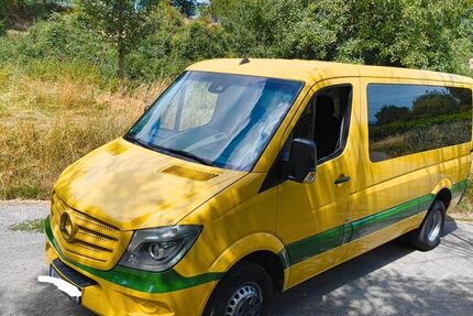 Mercedes-Benz Sprinter 440.000 km 11.999 &euro; Eimsheim 55278