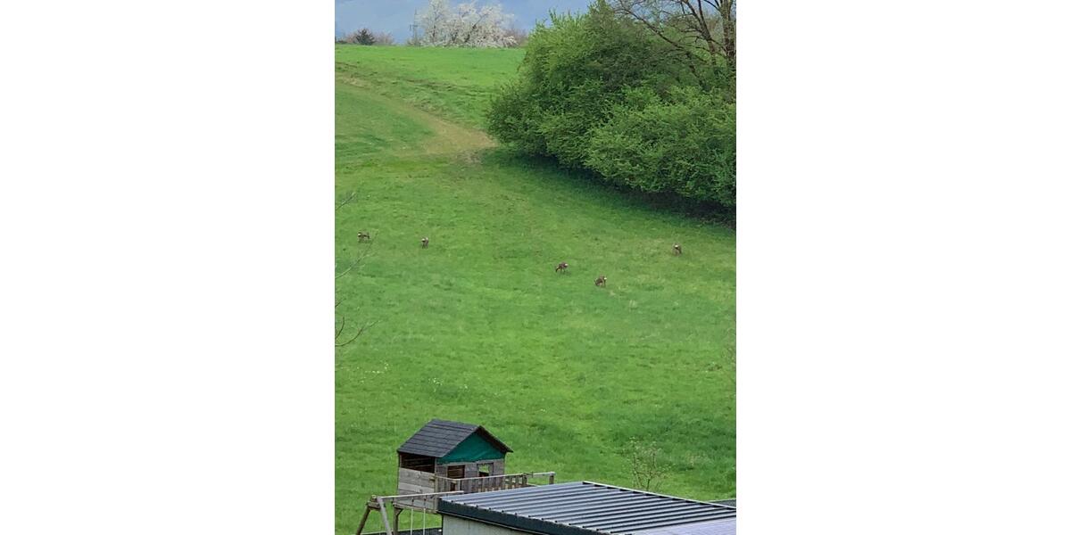 Doppelhaushälfte Fürth - 6 Zimmer, 180 m&sup2;, 655.000&euro; | Angebot:26212715