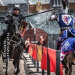 Die große Rittershow Dieburg - Königreich der Drachen