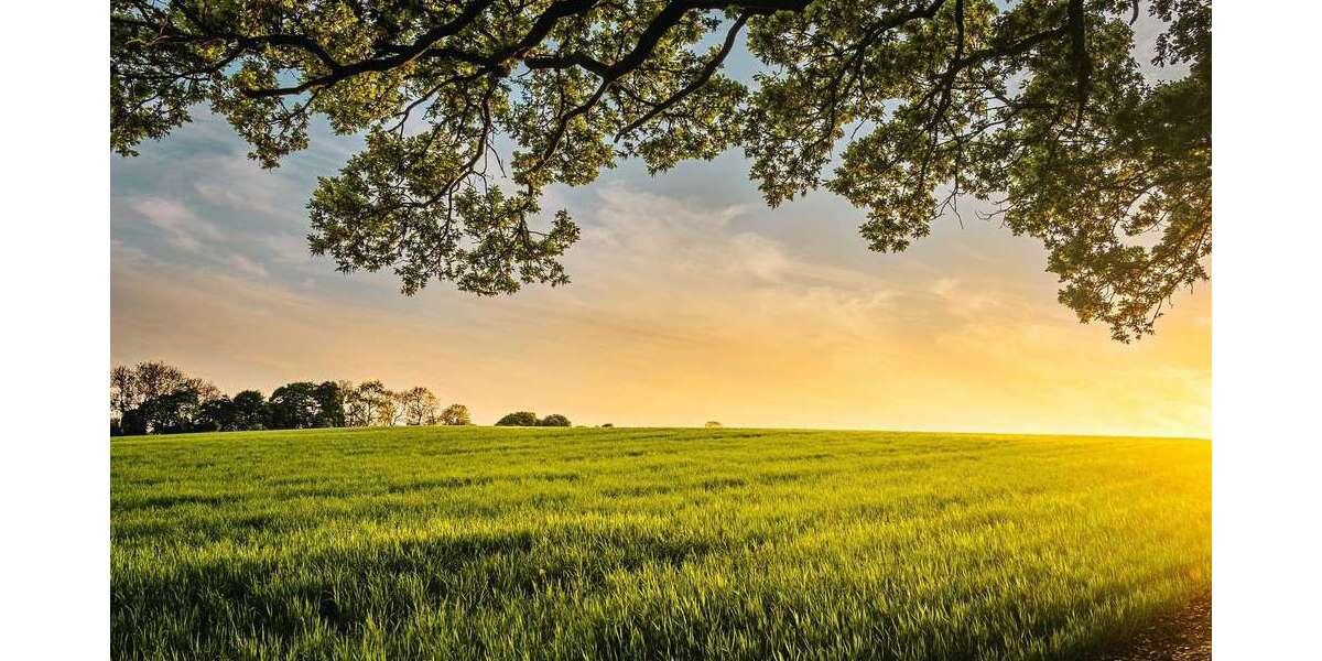 Grundstück zu verkaufen in Heppenheim 350.000 € 337 m² zimmer