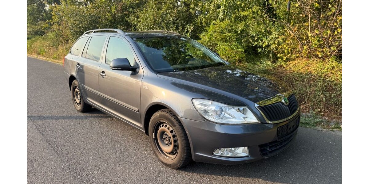 Skoda Octavia 169.000 km 4.890 &euro; rodgau 63110