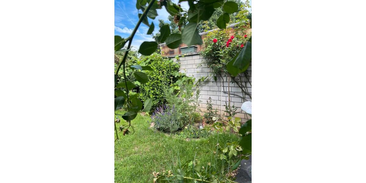 Doppelhaushälfte Groß-Gerau Gerau - 5 Zimmer, 140 m&sup2;, 580.000&euro; | Angebot:27002303