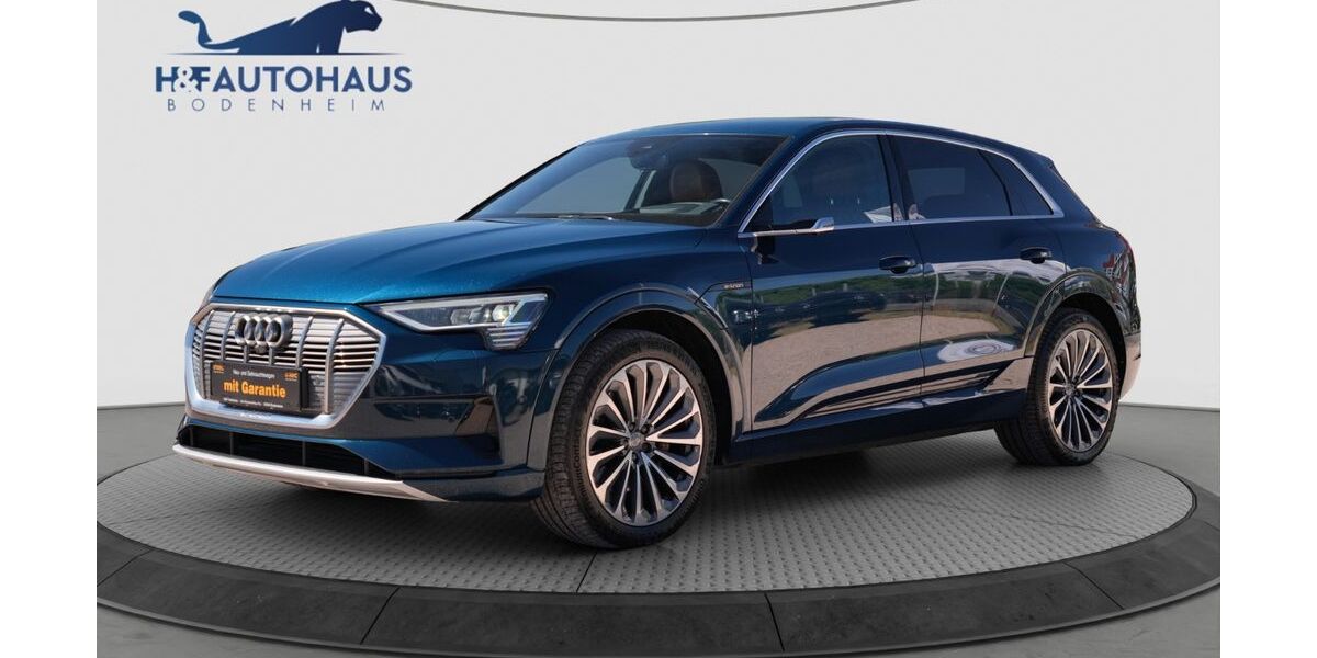 Audi e-tron 155.826 km 23.900 &euro; Bodenheim 55294
