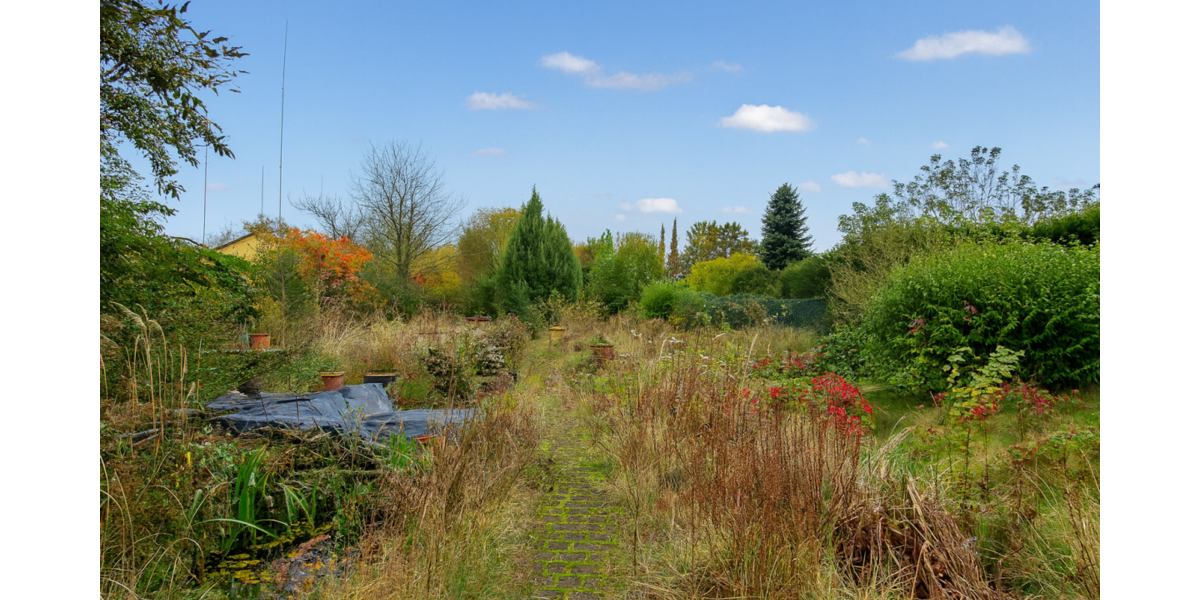 Grundstück zu verkaufen in Münster (Altheim) 320.000 € 700 m² zimmer