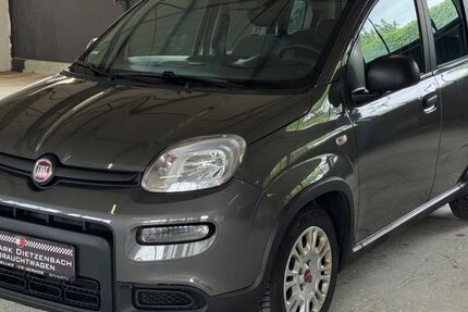 Fiat Panda 213.000 km 6.980 &euro; Dietzenbach 63128