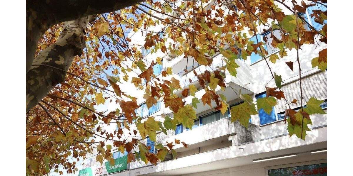 Etagenwohnung Darmstadt Eberstadt - 4 Zimmer, 112 m&sup2;, 299.900&euro; | Angebot:24667917