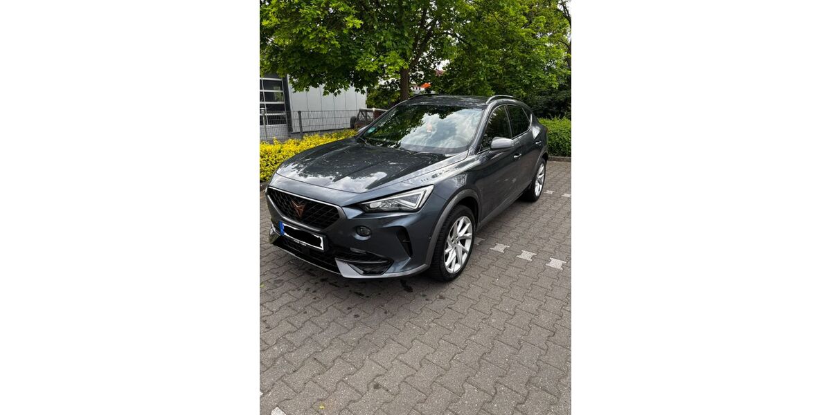 Cupra Formentor 99.000 km 22.100 &euro; Nierstein 55283