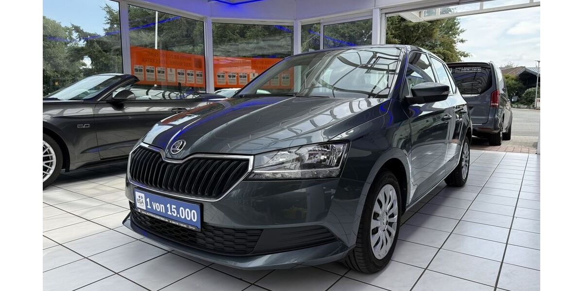 Skoda Fabia 47.800 km 11.490 &euro; Groß-Umstadt 64823
