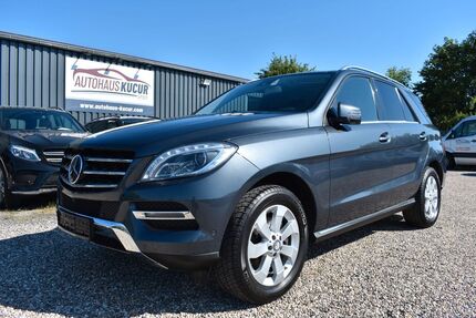 Mercedes-Benz ML 350 235.000 km 17.895 &euro; Alsheim 67577