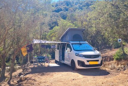 Opel Zafira Life 79.900 km 38.800 &euro; Ober-Ramstadt 64372