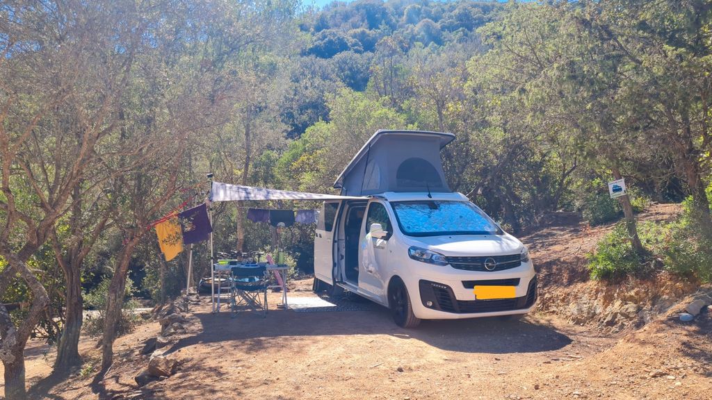 Opel Zafira Life 79.900 km 38.800 &euro; Ober-Ramstadt 64372