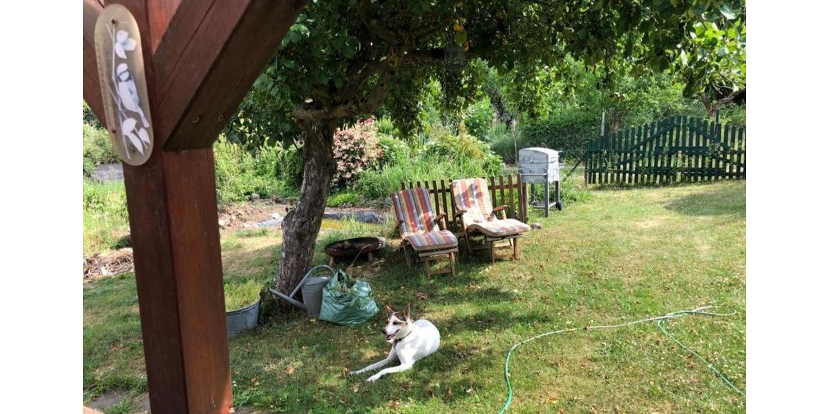 Bungalow Darmstadt Eberstadt - 2.5 Zimmer, 45 m&sup2;, 25.000&euro; | Angebot:25437062