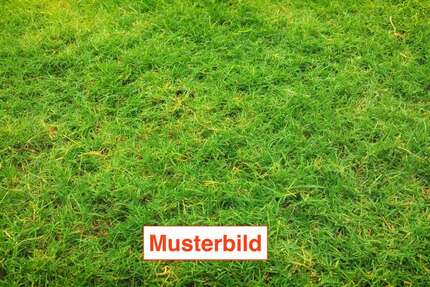 Grundstück zu verkaufen in Seeheim-Jugenheim 559.000 € 528 m² zimmer