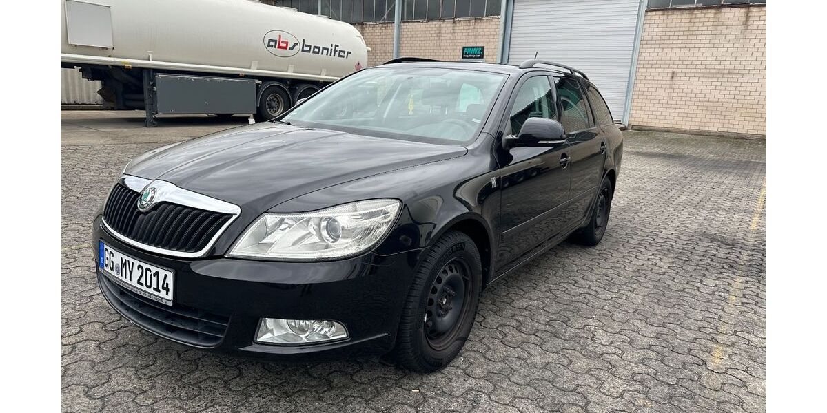 Skoda Octavia 251.800 km 4.800 &euro; Ginsheim-Gustavsburg 65462