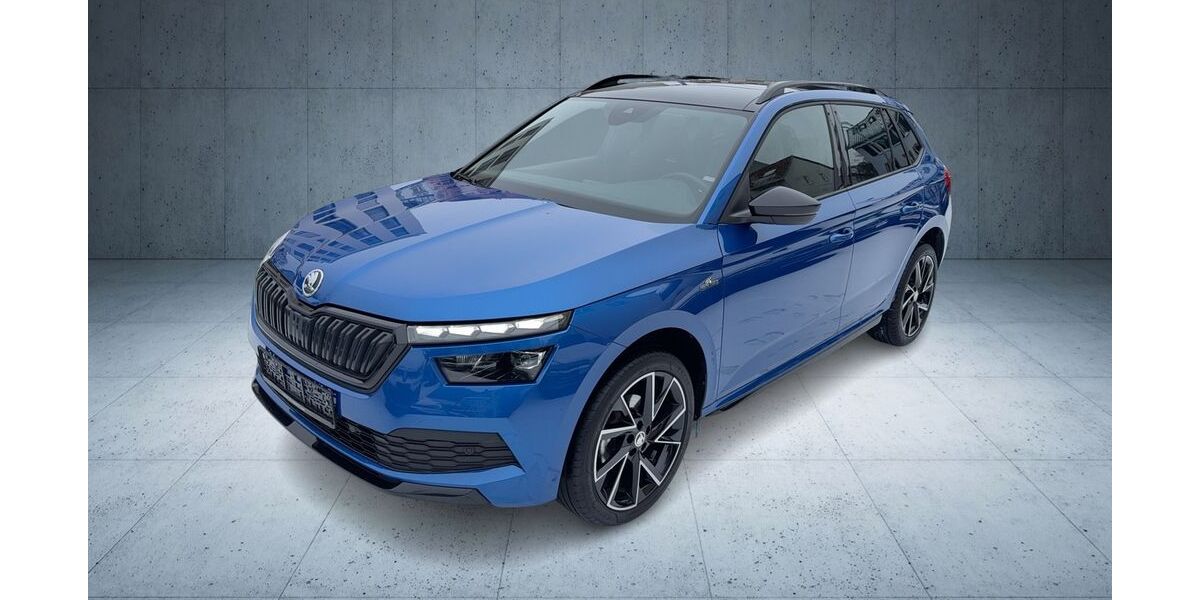 Skoda Kamiq 91.660 km 19.780 &euro; Frankfurt am Main 60528