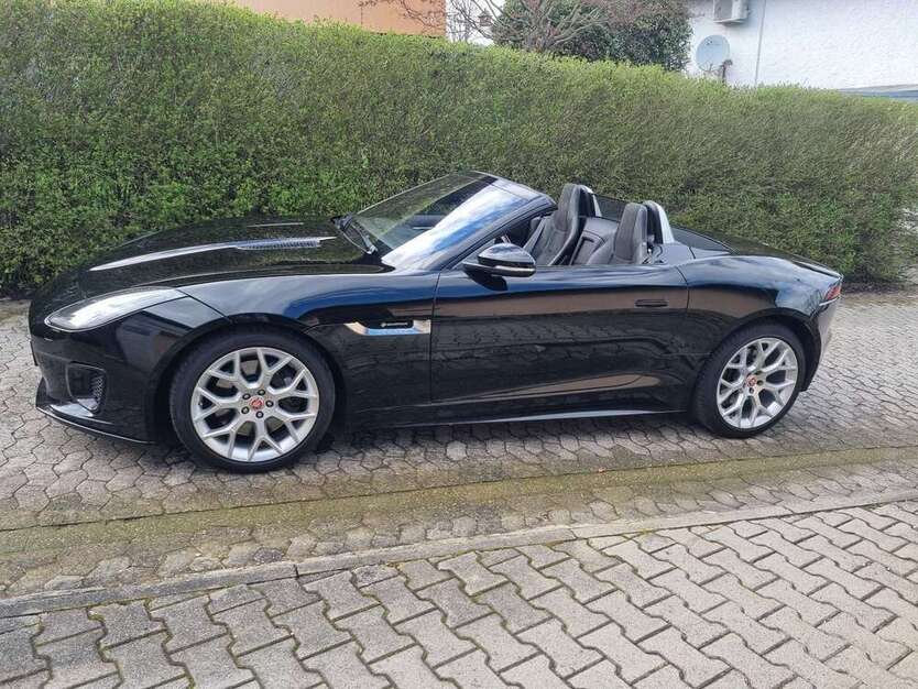 F-Type