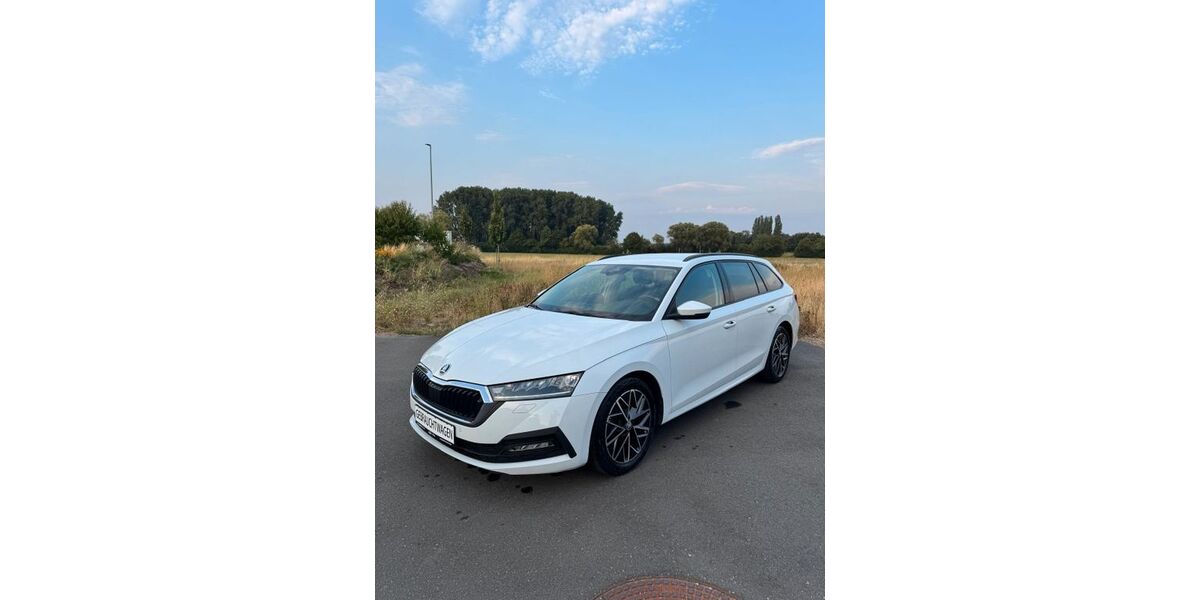 Skoda Octavia 86.100 km 18.499 &euro; Darmstadt 64297