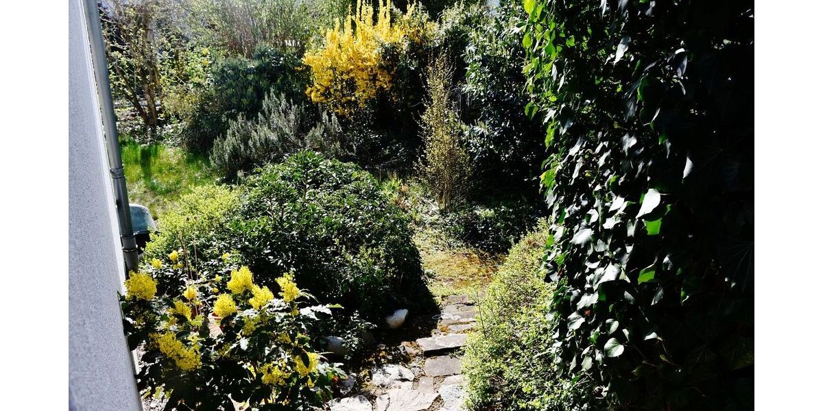 **RESERVIERT** Freistehendes Einfamilienhaus mit Gartenidylle in Seeheim-Jugenheim - Einfamilienhaus Seeheim-Jugenheim Bergstraße | Angebot:26286081