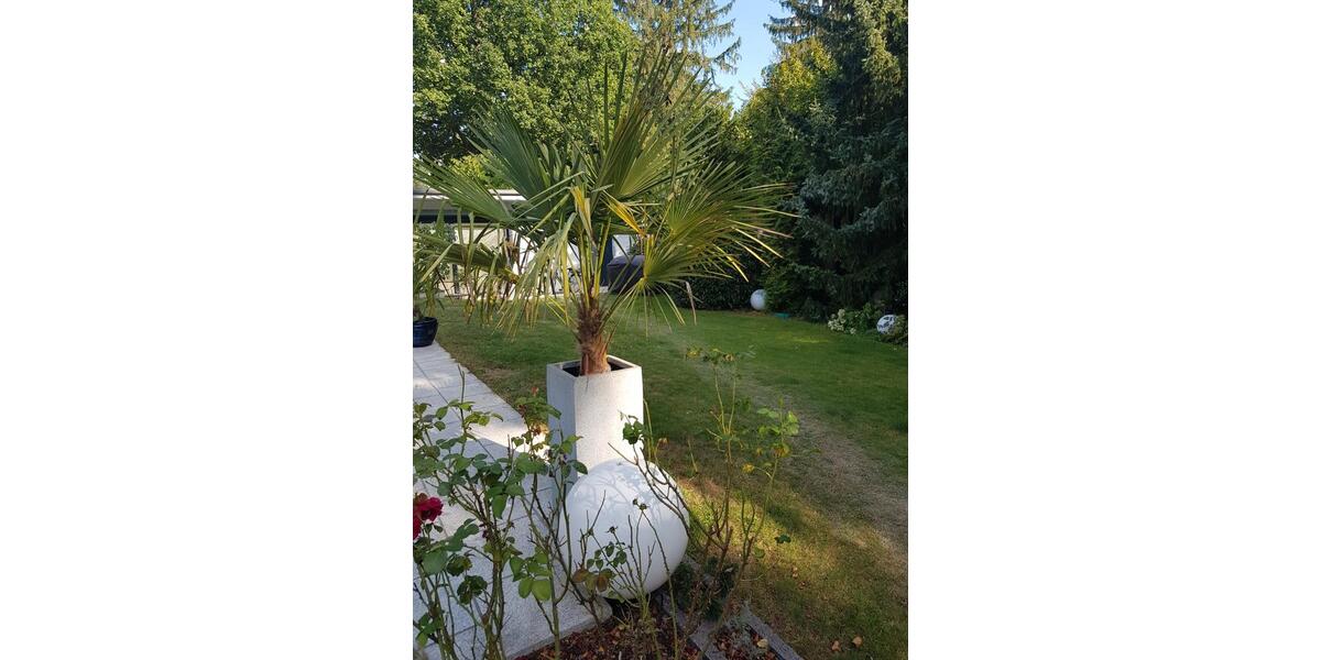 Einfamilienhaus Dreieich - 9 Zimmer, 300 m&sup2;, 4.390&euro; | Angebot:26336525