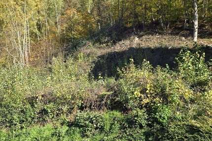 Grundstück Breuberg / Sandbach Sandbach - 119.000&euro; | Angebot:25474510