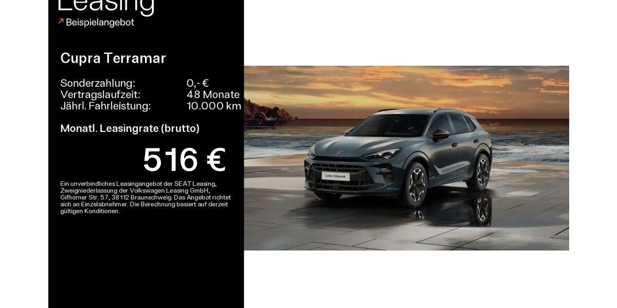 Cupra Terramar 5.000 km 46.500 &euro; Hofheim-Diedenbergen 65719