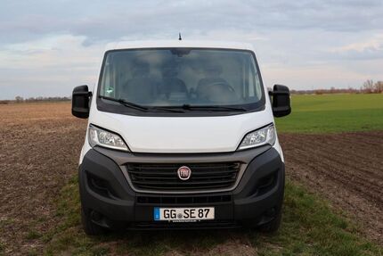 Fiat Ducato 100.000 km 15.000 &euro; Riedstadt 64560