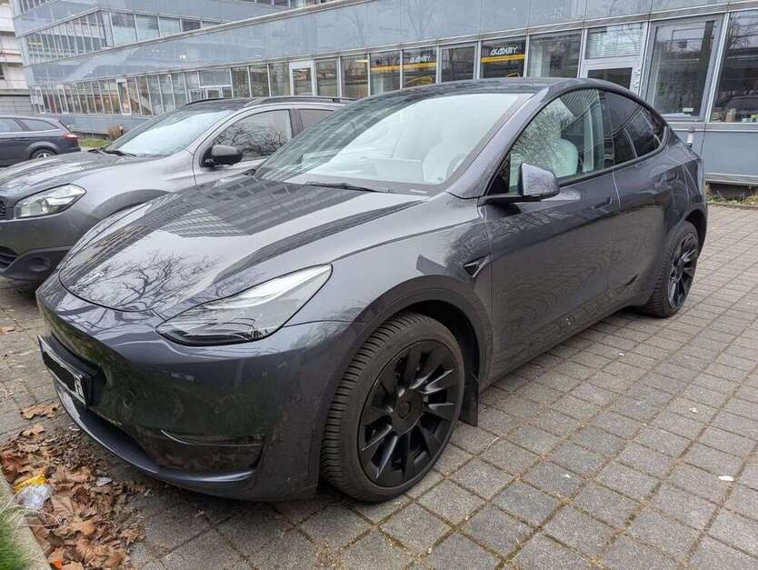 Model Y