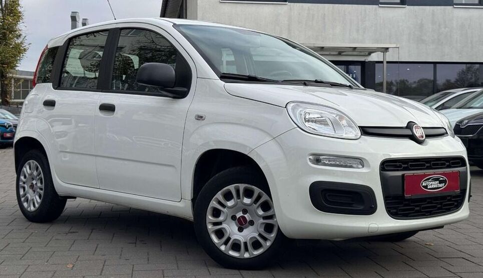 Panda