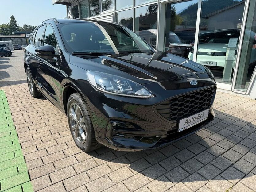 Kuga