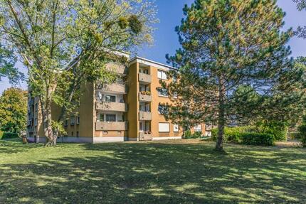 Wohnung Bensheim - 2 Zimmer, 54 m&sup2;, 649&euro; | Angebot:26592338