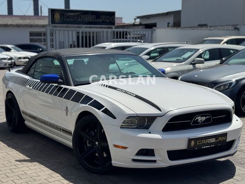Mustang