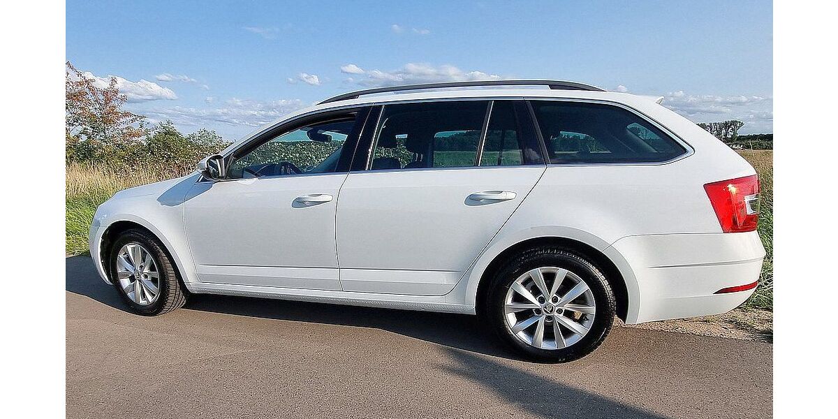 Skoda Octavia 104.000 km 17.200 &euro; Bibliss 68647