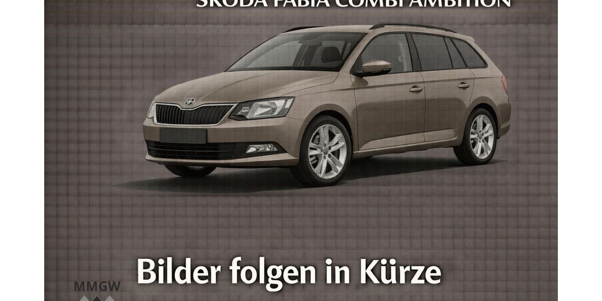 Skoda Fabia 79.790 km 10.990 &euro; Bensheim 64625