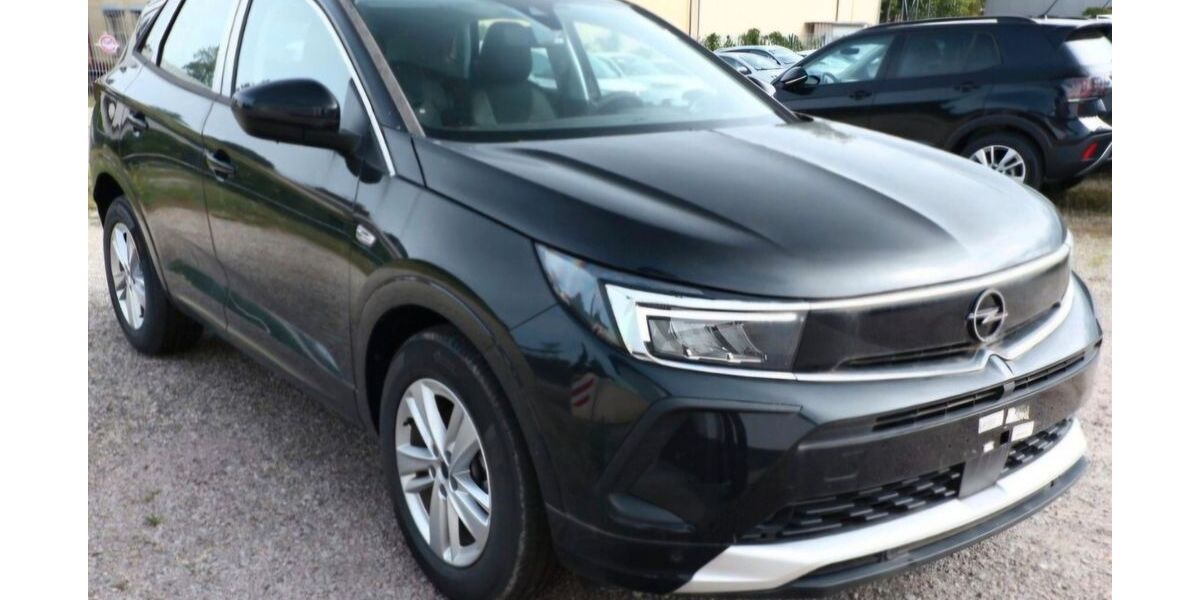 Opel Grandland (X) 11.000 km 19.999 &euro; Heppenheim 64646