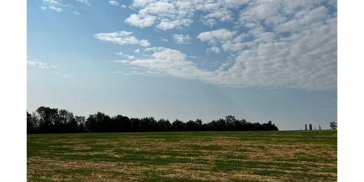 Doppelhaushälfte Mainz Weisenau - 6 Zimmer, 159 m&sup2;, 2.500&euro; | Angebot:23587981