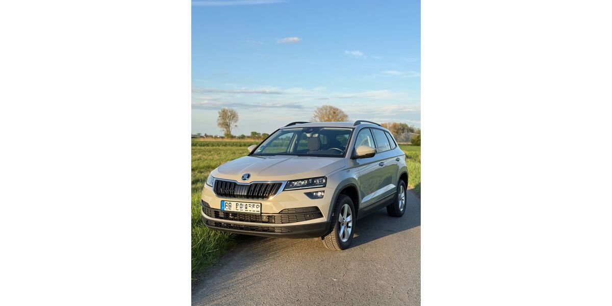 Skoda Karoq 93.000 km 17.500 &euro; Riedstadt 64560