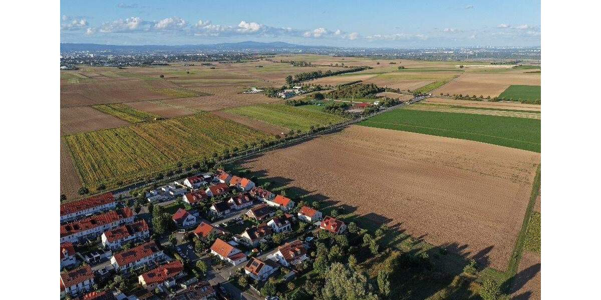 Grundstück Mainz Ebersheim - 500.000&euro; | Angebot:25690859