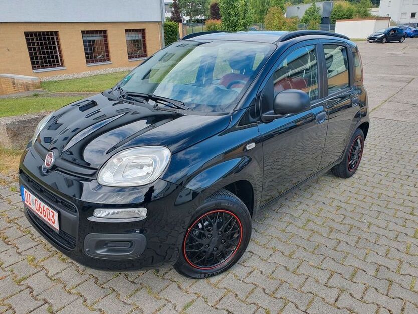 Panda