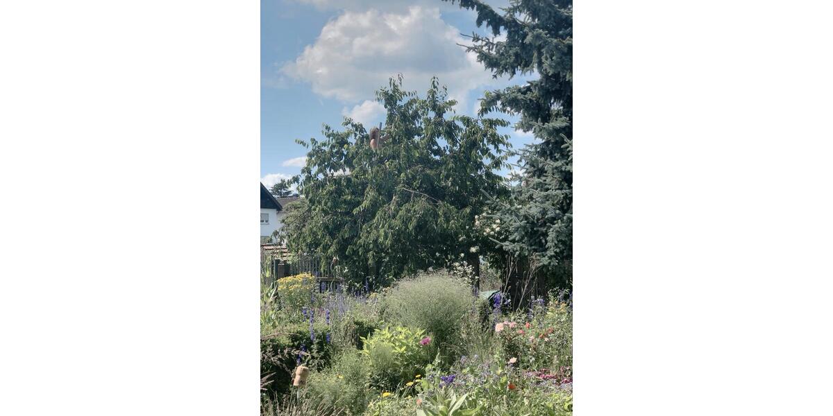 Etagenwohnung Roßdorf - 2 Zimmer, 43 m&sup2;, 800&euro; | Angebot:26309864