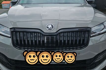 Skoda Superb 160.000 km 23.490 &euro; Hofheim 65719