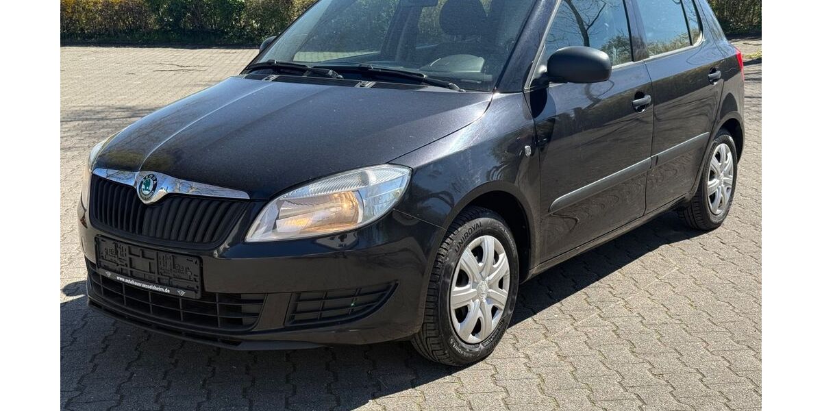 Skoda Fabia 176.000 km 3.798 &euro; Rüsselsheim 65428