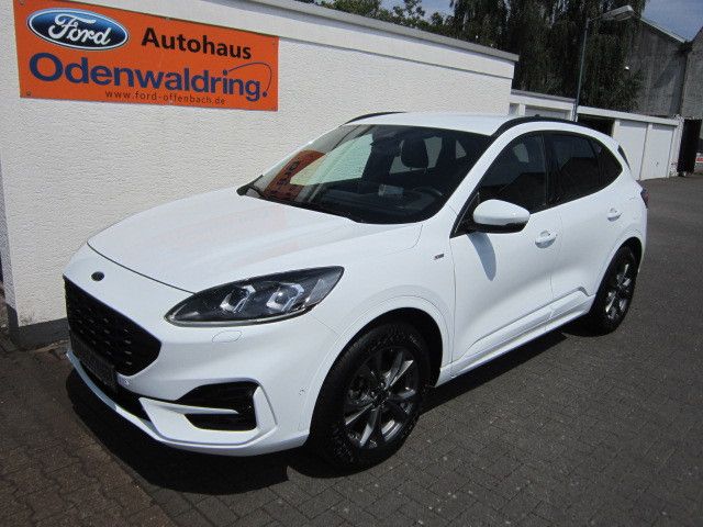 Kuga