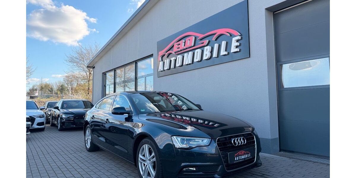 Audi A5 162.000 km 13.690 &euro; Eppertshausen 64859